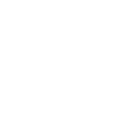 Frames and Sound Studios Logo